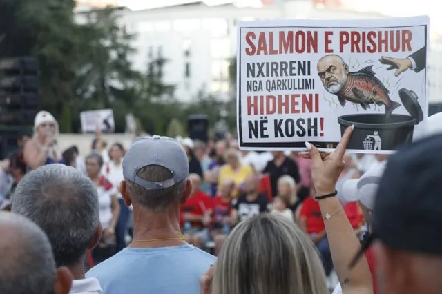 FOTO-LAJM/ Nga flamingot te salmoni, ja cilat ishin simbolikat e ditës së 36- të protestës antiqeveritare