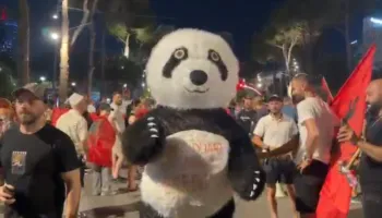 FOTO-LAJM/ Panda shfaqet në protestën e 40-të me mesazhin: Larg duart nga e ardhmja