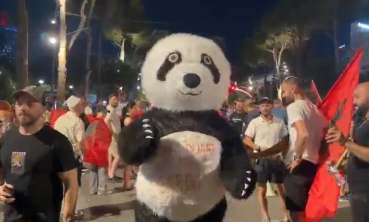 FOTO-LAJM/ Panda shfaqet në protestën e 40-të me mesazhin: Larg duart nga e ardhmja