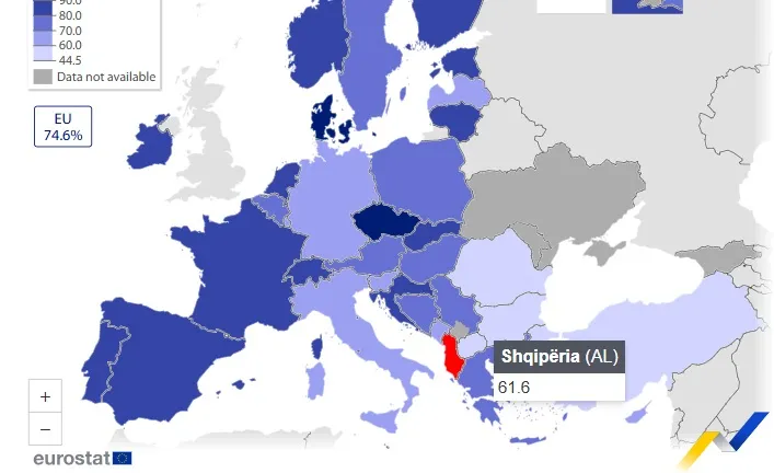 Gjithë ditën në telefon, por të rinjtë shqiptarë nuk ia kanë haberin teknologjisë