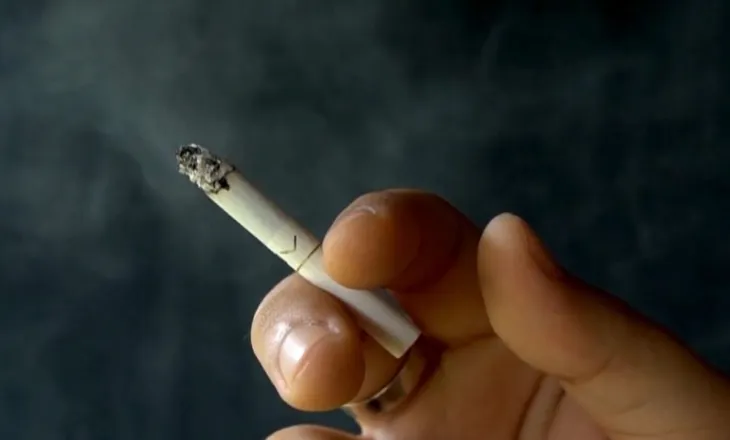 Goditet rrjeti i kontrabandës së duhanit, sekuestrohen 20 milionë cigare në Europë