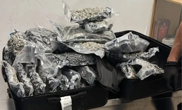 Goditet tentativa për trafik droge në Rinas, sekuestrohen 46 kg kanabis nga fluturimi Toronto-Tiranë