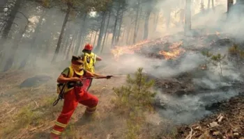 IGJEO paralajmëron rrezik të lartë zjarresh në 6 qarqe, ja zonat më të rrezikuara