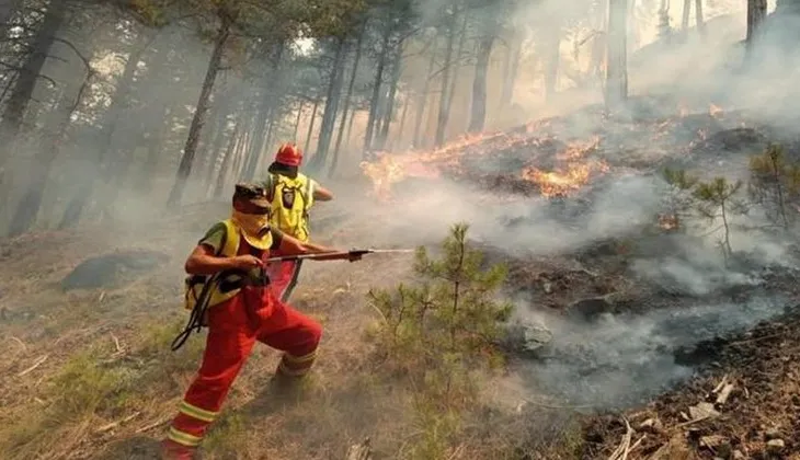 IGJEO paralajmëron rrezik të lartë zjarresh në 6 qarqe, ja zonat më të rrezikuara