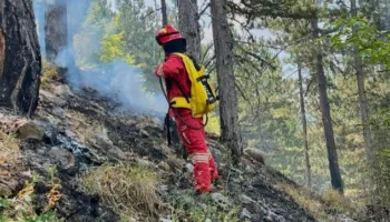 IGJEO: Sot dhe nesër rreziku për zjarre do të jetë edhe më i lartë, ja 3 qarqet më të rrezikuara