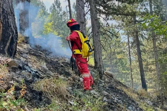 IGJEO: Sot dhe nesër rreziku për zjarre do të jetë edhe më i lartë, ja 3 qarqet më të rrezikuara