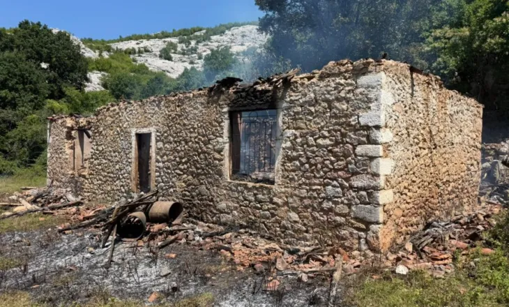 Iu dogj vajza me dy fëmijë të mitur/ Nëna e 24-vjeçares: Vajza më dhunohej nga bashkëshorti