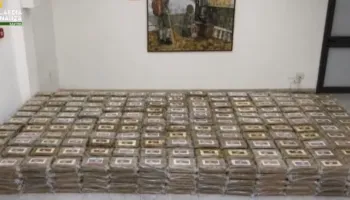 Kapen 770 kilogramë kokainë në Itali, droga ishte fshehur mes ngarkesës me banane nga Ekuadori