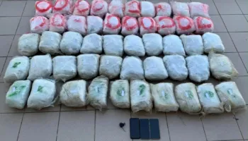 Kapen mbi 55 kg marijuanë në kufirin greko-shqiptar, një i arrestuar
