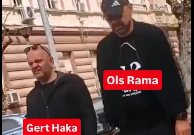 Këlliçi publikon foton: Shoku i Olsi Ramës bleu tokë 320 mijë euro, pas dy muajsh e rivlerësoi 26 mln euro