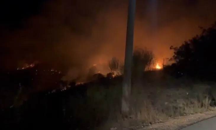 Kodra në hyrje të Ksamilit përfshihet nga flakët, zjarri pranë një resorti