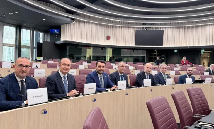 Komiteti Shqipëri–BE pa rezolutë të përbashkët, PD: Amendamentet tona u refuzuan nga socialistët