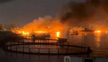 Konflikti del jashtë kufijve, sulme ndaj bazave amerikane dhe objekteve ushtarake në Gjirin Persik