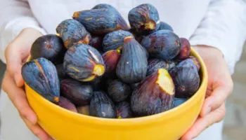 Konsumi i fiqve, vlerat ushqyese nga fruti i shijshëm i sezonit