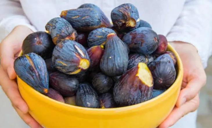 Konsumi i fiqve, vlerat ushqyese nga fruti i shijshëm i sezonit