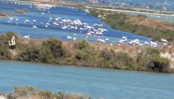 Konventa e Bernës kritikon qeverinë për Vjosë-Nartën, kërkon shpjegime dhe paralajmëron për masa të tjera