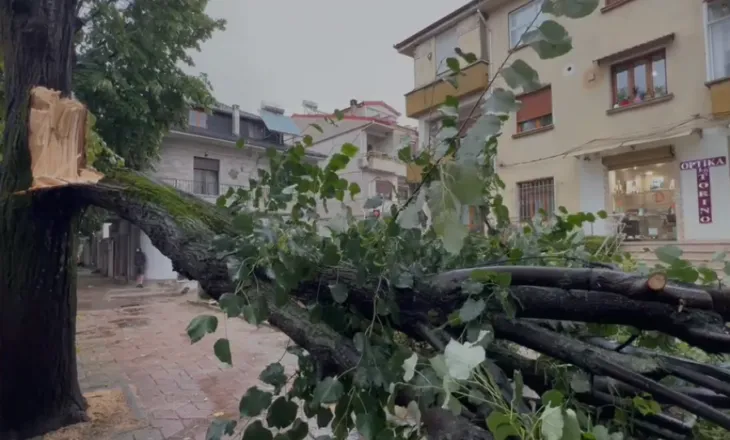 Korçë/ Pema rrezohet në trotuar, bllokon kalimin e këmbësorëve