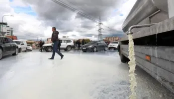 Kosovë/ Përdorimi i vajit të palmës në qumësht, fermerët kërkojnë kontrolle në të gjitha fabrikat përpunuese