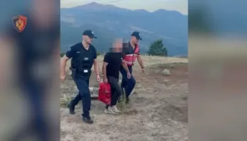 Kukës/ Kapet duke ujitur parcelën me 60 bimë kanabis në Kalimash, arrestohet 34-vjeçari