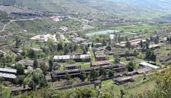 Kultivoi bimë narkotike, arrestohet 38-vjeçari në Poliçan