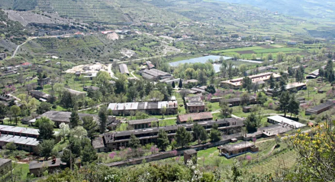 Kultivoi bimë narkotike, arrestohet 38-vjeçari në Poliçan