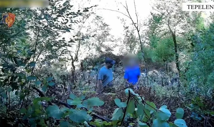 Kultivoi bimë narkotike në mes të kanioneve në Tepelenë, arrestohet në vendngjarje 57-vjeçari