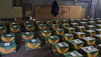 Kush po transporton banane në Rusi e kush kokainë?