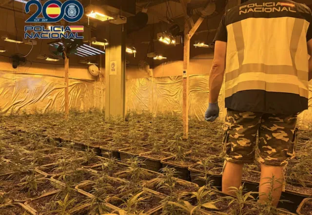 Mega-operacion në Valencia/ Çmontohet rrjeti shqiptaro-spanjoll i drogës, në pranga 14 persona