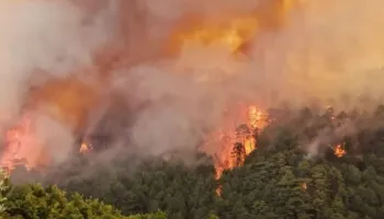 Ministri i Brendshëm: Zjarrvënia është krim, dënohet deri në 15 vite burg