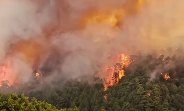 Ministri i Brendshëm: Zjarrvënia është krim, dënohet deri në 15 vite burg