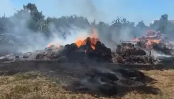 Ndezi zjarr për djegien e mbeturinave, por flakët shkrumbuan tokën e fqinjit, arrestohet 57-vjeçari në Lushnjë