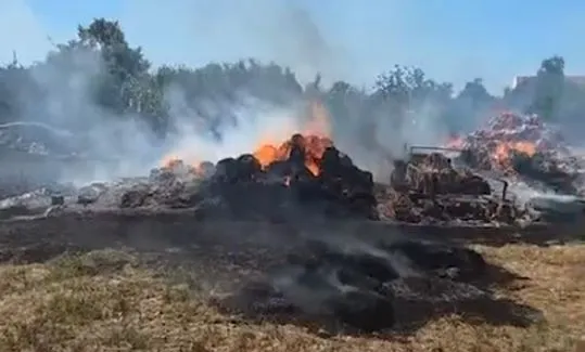 Ndezi zjarr për djegien e mbeturinave, por flakët shkrumbuan tokën e fqinjit, arrestohet 57-vjeçari në Lushnjë