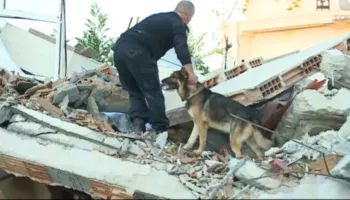 Nga nuhatja e dozave të drogës dhe lëndëve plasëse te armët dhe paratë, si stërviten për muaj të tërë qentë e…