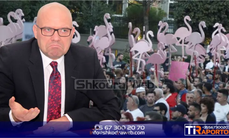 NGA YLLI MANJANI – Të 40- at e revolucionit të flamingove…