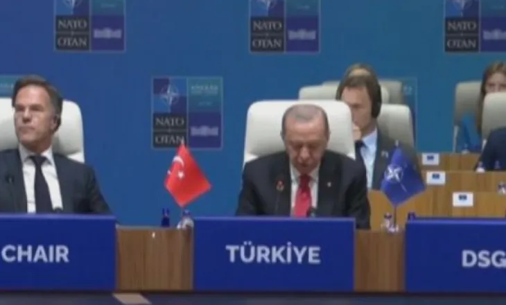 Nis punimet Samiti i NATO-s në Ankara, Erdogan: Europa të marrë më shumë përgjegjësi për mbrojtjen e kontinentit