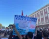 ‘Një kulturë e re’, BIRN: Si po i sfidon “Revolucioni i Flamingove” protestat partiake