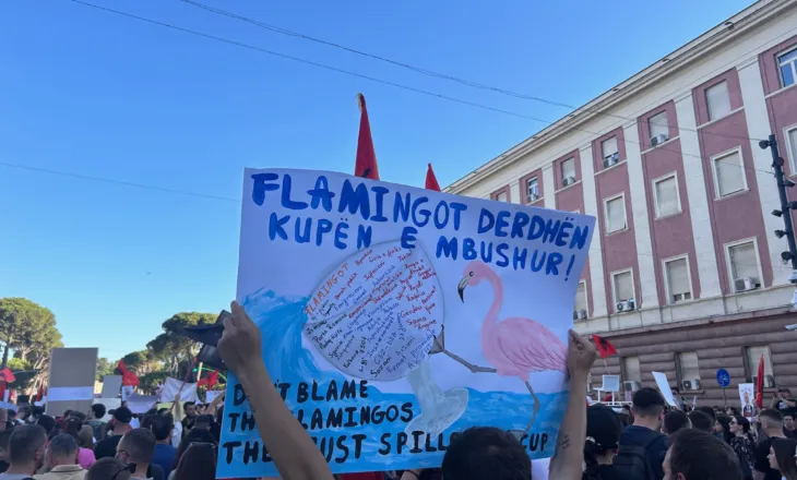 ‘Një kulturë e re’, BIRN: Si po i sfidon “Revolucioni i Flamingove” protestat partiake