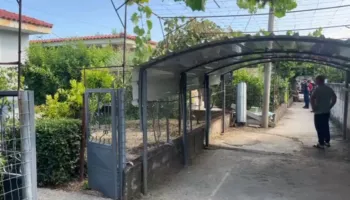 Një ngjarje tragjike e paramenduar nga autori: Do të fejohemi sërish ose do ju vras të gjithëve