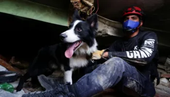 Një qen i braktisur u bë heroi i Venezuelës: Historia e qenit ‘Cunami’, shpresa që lindi nga rrënojat
