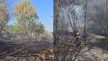 Një vatër zjarri shpërthen në Mallakastër, flakët favorizohen nga era, zjarrfikësit në terren