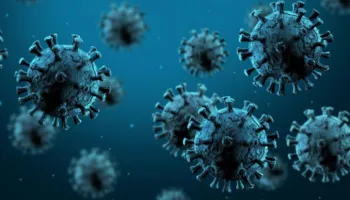 OBSH: Epidemia e Hantavirusit ka mbaruar