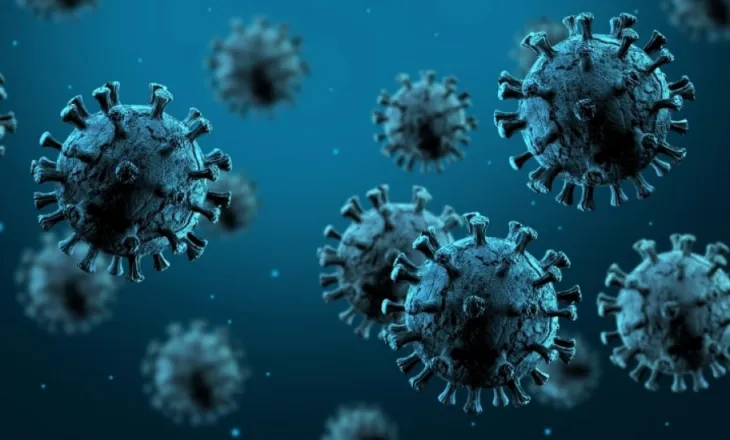 OBSH: Epidemia e Hantavirusit ka mbaruar