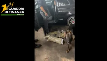 Operacioni ‘King George’ – Antimafia italiane: Të rinjtë shqiptarë silleshin si korrierë droge për 90 ditë