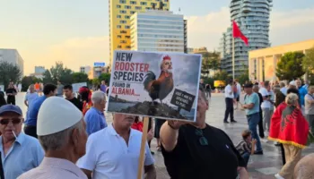 Pankartat ironike të qytetarëve: Bukë nuk ka, spektakël ka plot