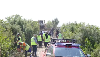 Parandalimi i zjarreve, APR nis ndërtimin e 100 kilometrave rrugë auto-pyjore në Tiranë