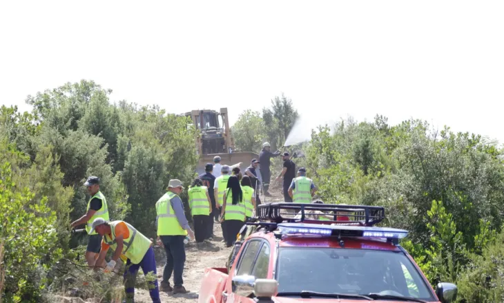 Parandalimi i zjarreve, APR nis ndërtimin e 100 kilometrave rrugë auto-pyjore në Tiranë