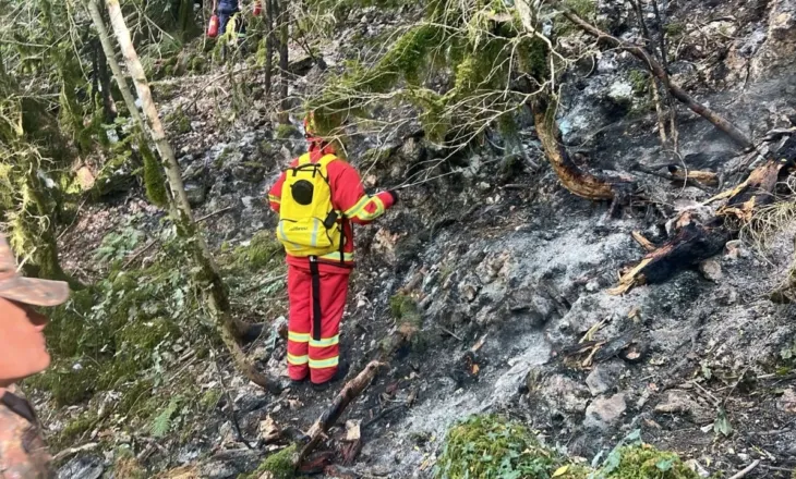 Parku Kombëtar i Llogarasë prej tre ditësh nën flakë, zjarri vazhdon jashtë kontrollit
