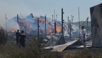Patos/ Zjarr i madh shkrumbon fermën blegtorale, digjen mbi 10 krerë bagëti! Dëmet arrijnë 7 mln lekë