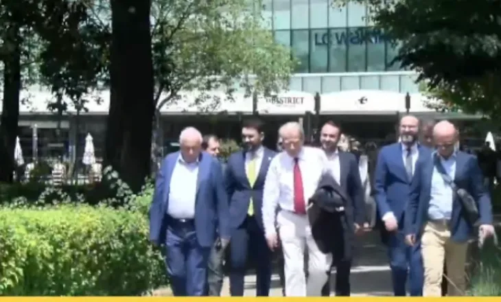 PD rikthehet në Kuvend, deputetët demokratë hyjnë nga porta e Akademisë së Shkencave