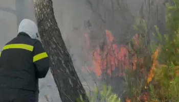 Përshkallëzohet zjarri në Zvërnec, rrezik për banesat dhe bizneset
